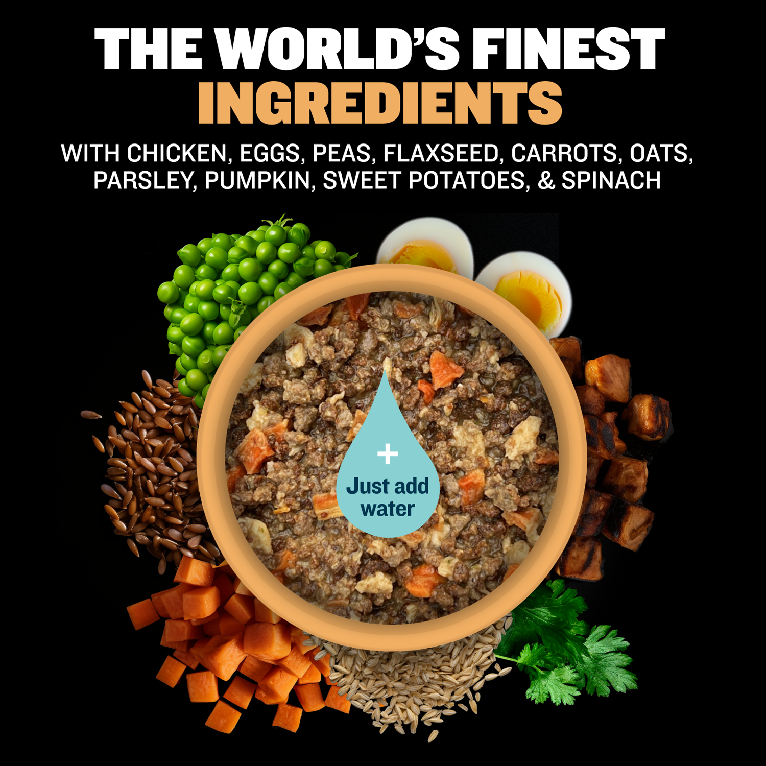 High protein wet puppy food hot sale