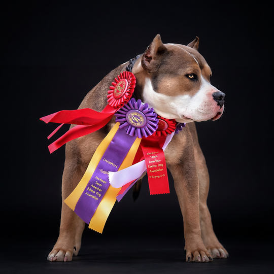 slide image in a carousel