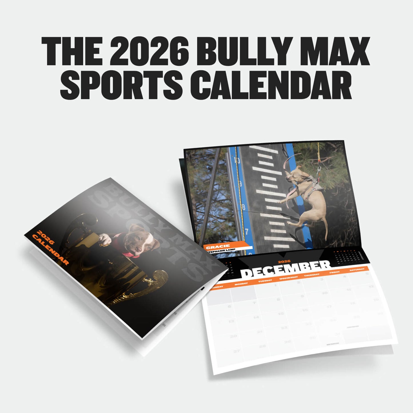 2026 Limited Edition Calendar
