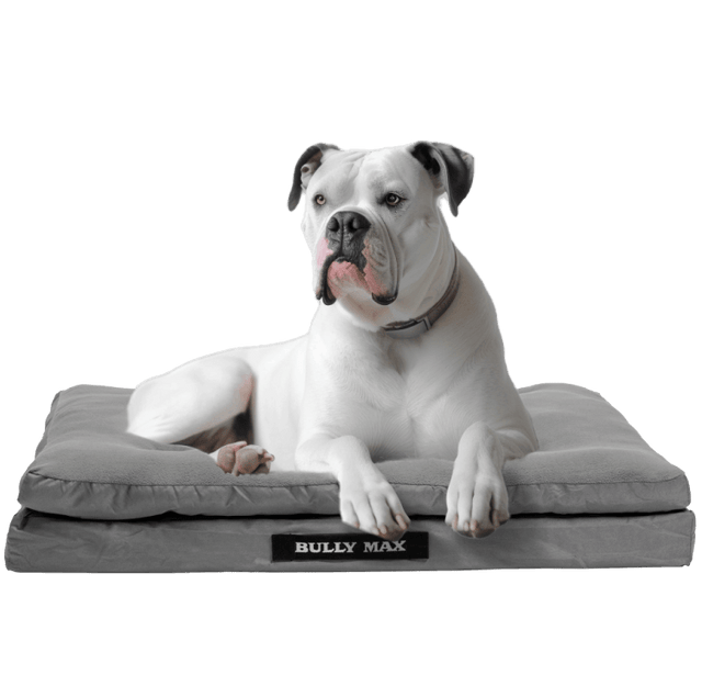 Bully Max Dog Bed