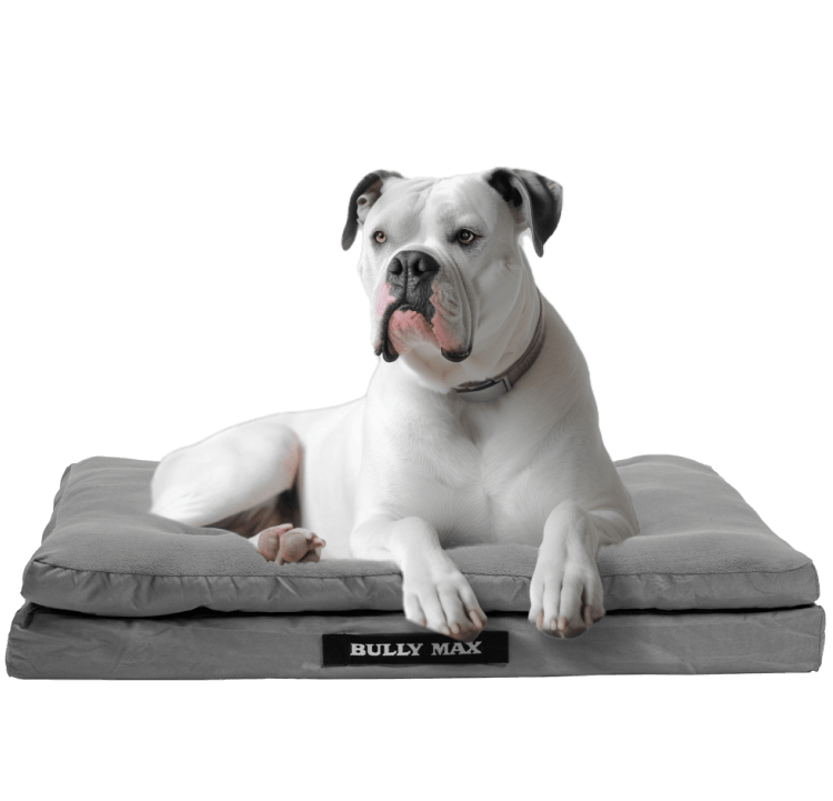 Heavy Duty Dog Bed for Big Dogs Washable Memory Foam Antiodor