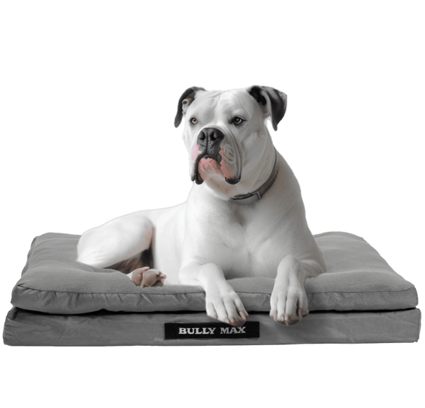 Heavy Duty Dog Bed for Big Dogs Washable Memory Foam Anti