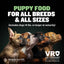 Puppy Wet Food, Dry Food, & Supplements - Bundle