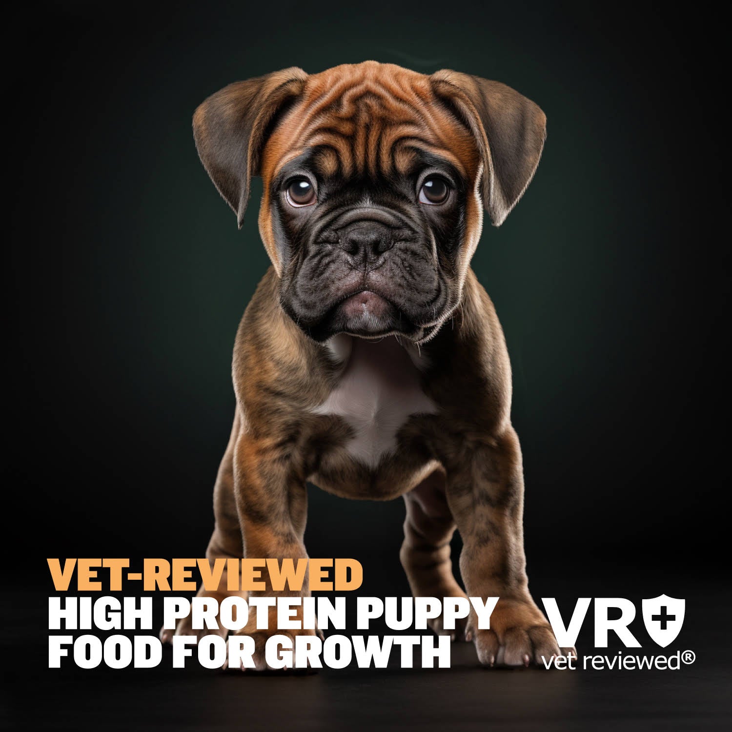 Bully Max 26/12 High Protein Wet Puppy Food 10 Count Multipack