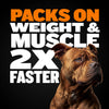 Bully Max Dog Food (40 lbs.) & Muscle Building Tablets Bundle