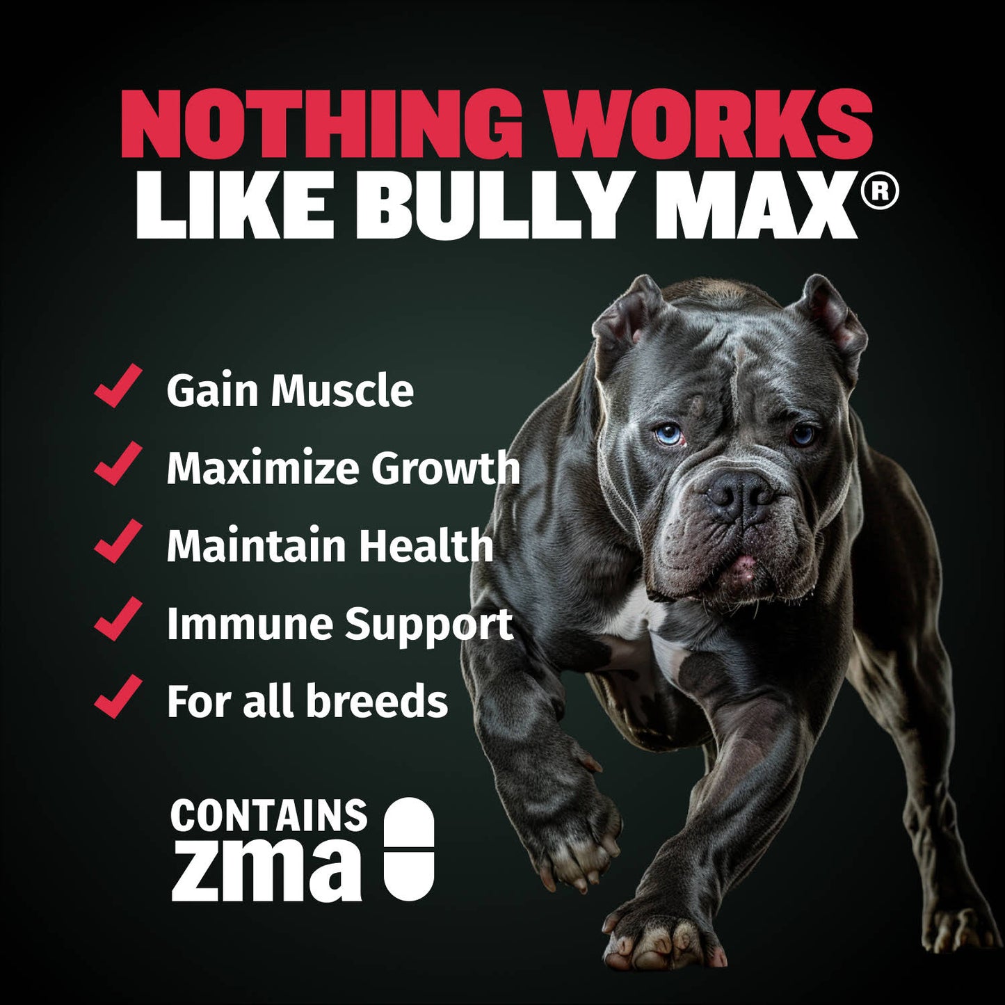 Bully Max Dog Food (40 lbs.) & Muscle Building Tablets Bundle