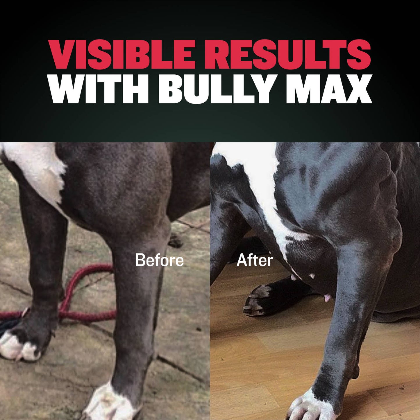 Bully Max Dog Food (40 lbs.) & Muscle Building Tablets Bundle