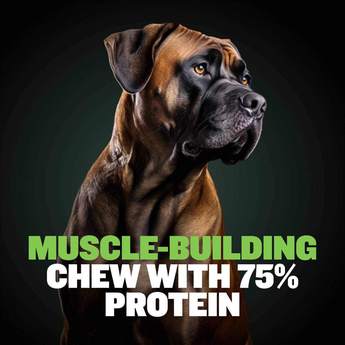 High Protein Power Chew