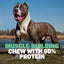 High Protein Power Chew - Mint (Limited)