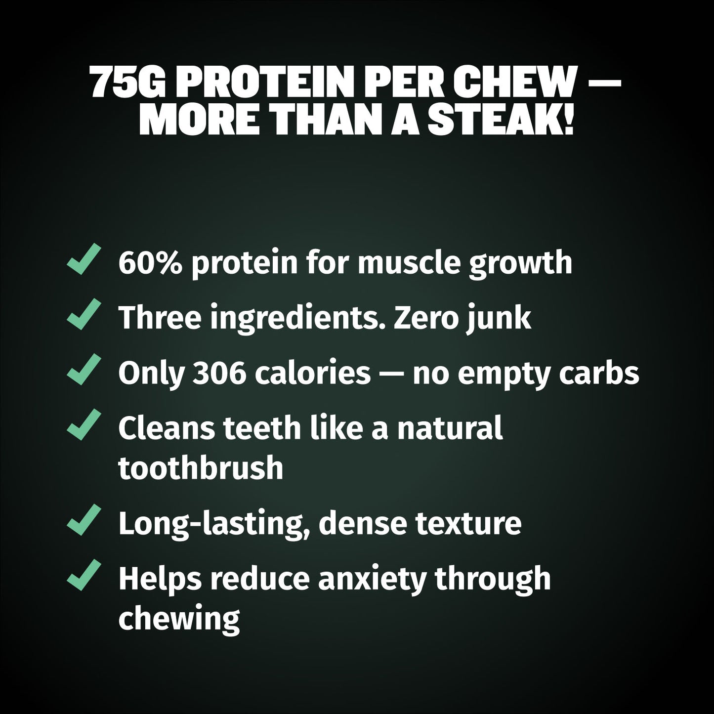 High Protein Power Chew - Mint (Limited)