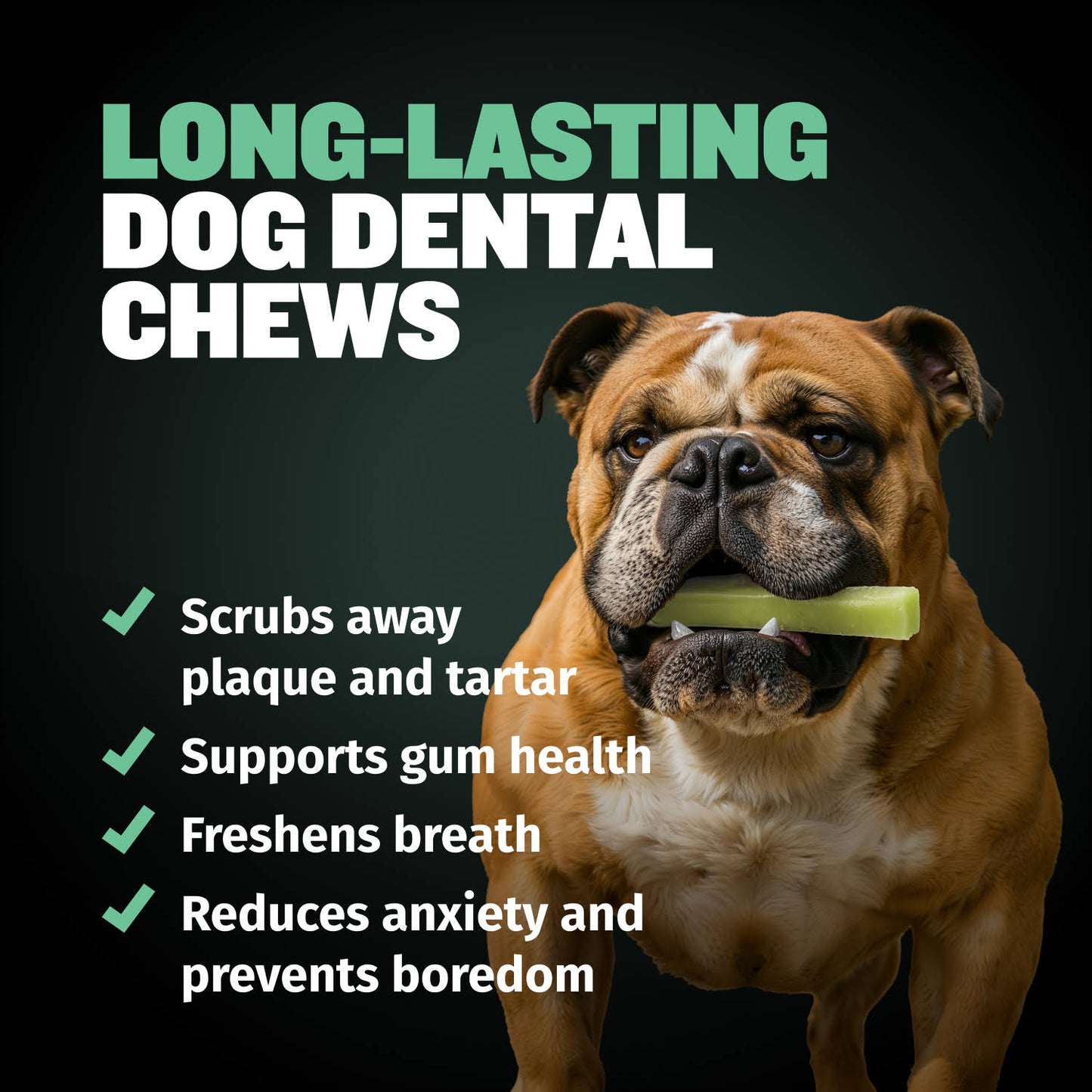 High Protein Power Chew - Mint (Limited)