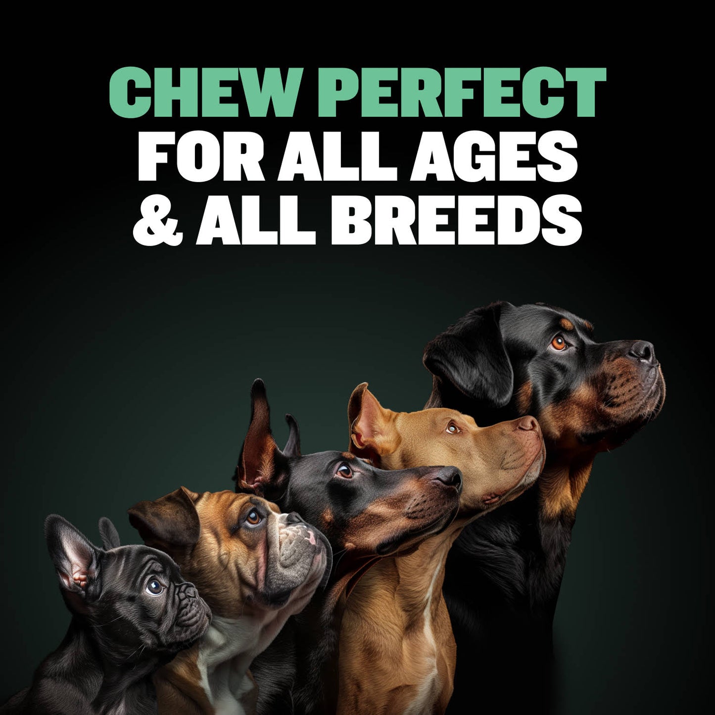 High Protein Power Chew - Mint (Limited)