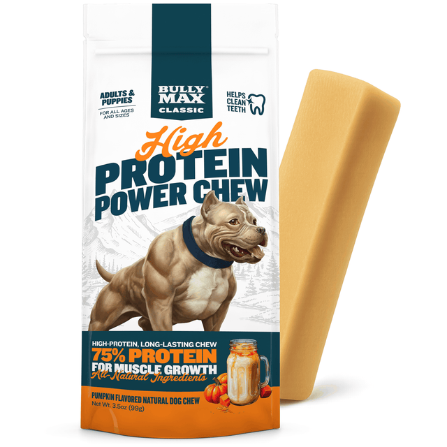 High Protein Power Chew - Pumpkin (Limited)