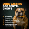 High Protein Power Chew - Pumpkin (Limited)