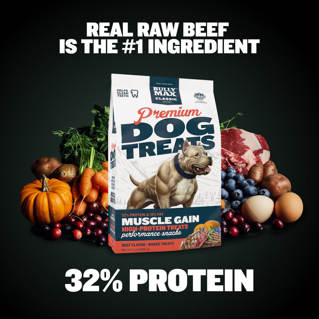 Bully Max Classic Premium High-Protein Beef Dog Treats - Bully Max