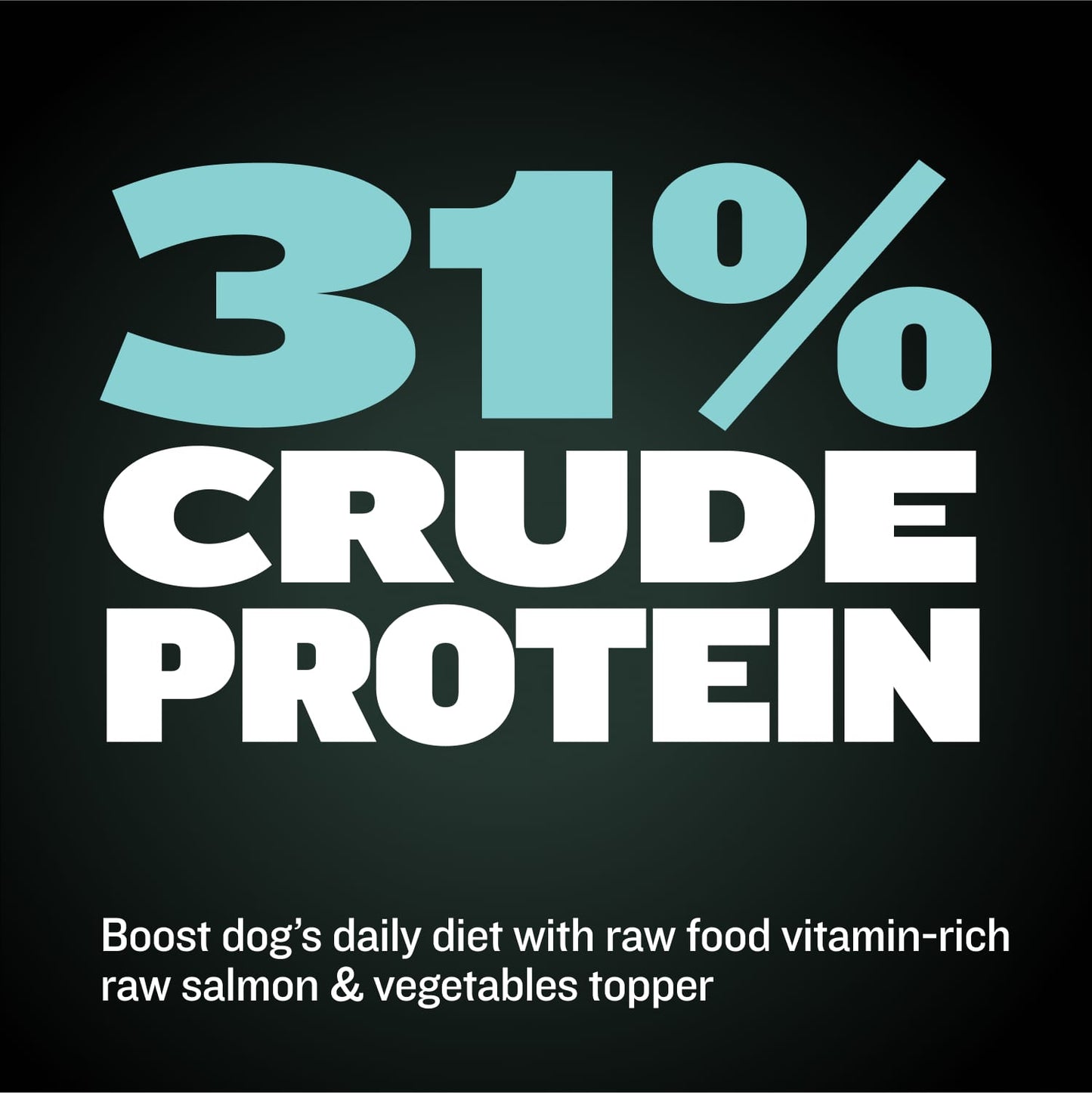 Freeze-Dried Raw Dog Food Toppers Salmon Flavor