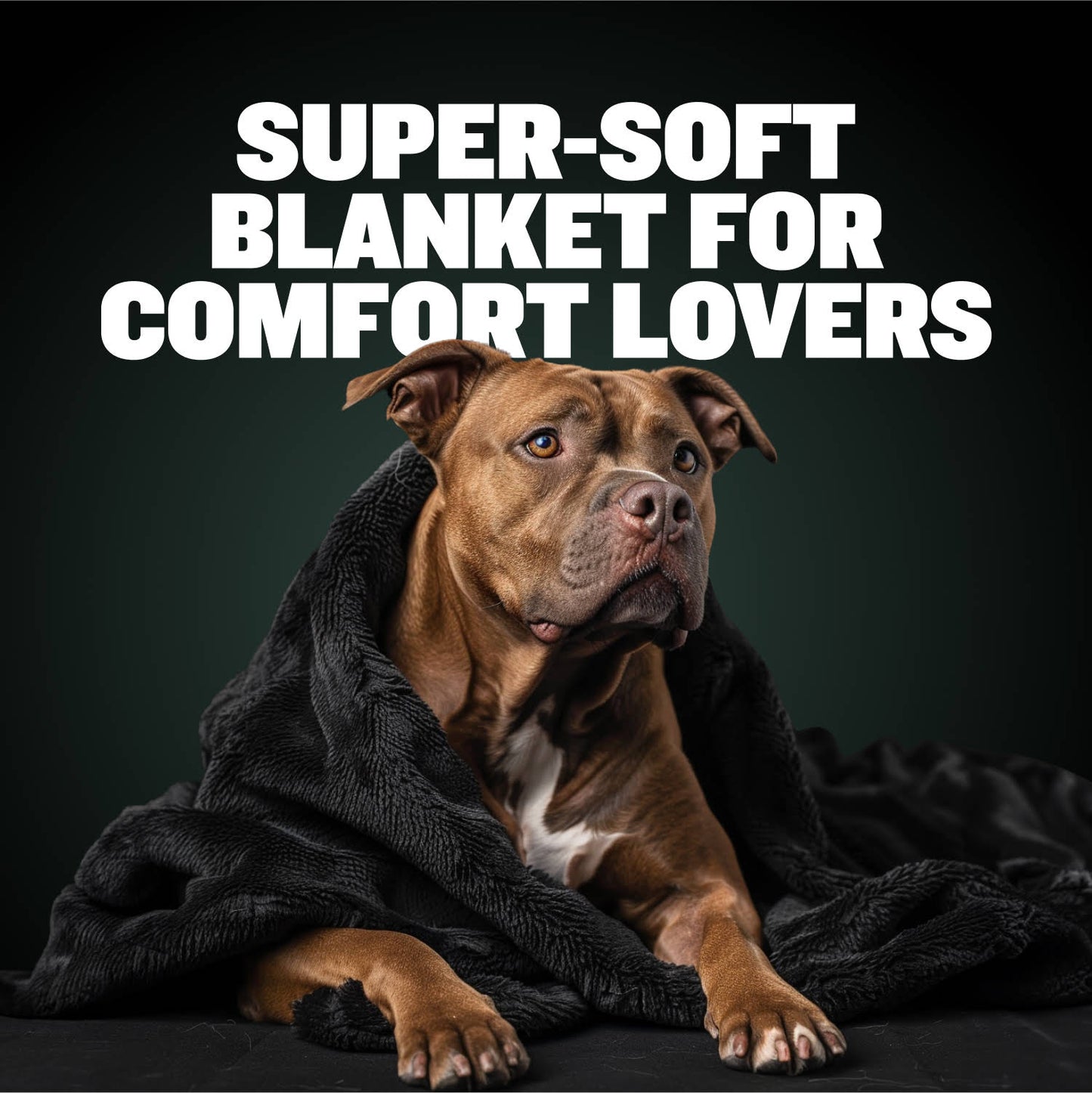 Bully Max High Quality Dog/or Human Blanket