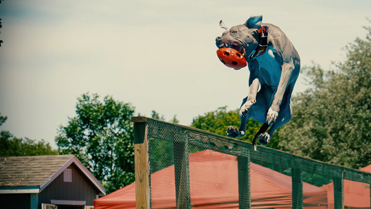 YouTube thumbnail slide image in a carousel