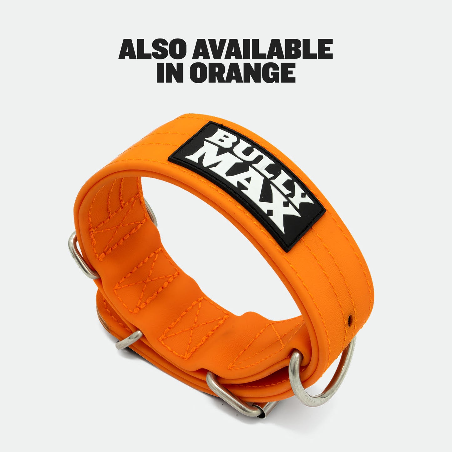 Extra Heavy Duty Dog Collar (Black)