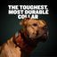 Extra Heavy Duty Dog Collar (Orange)