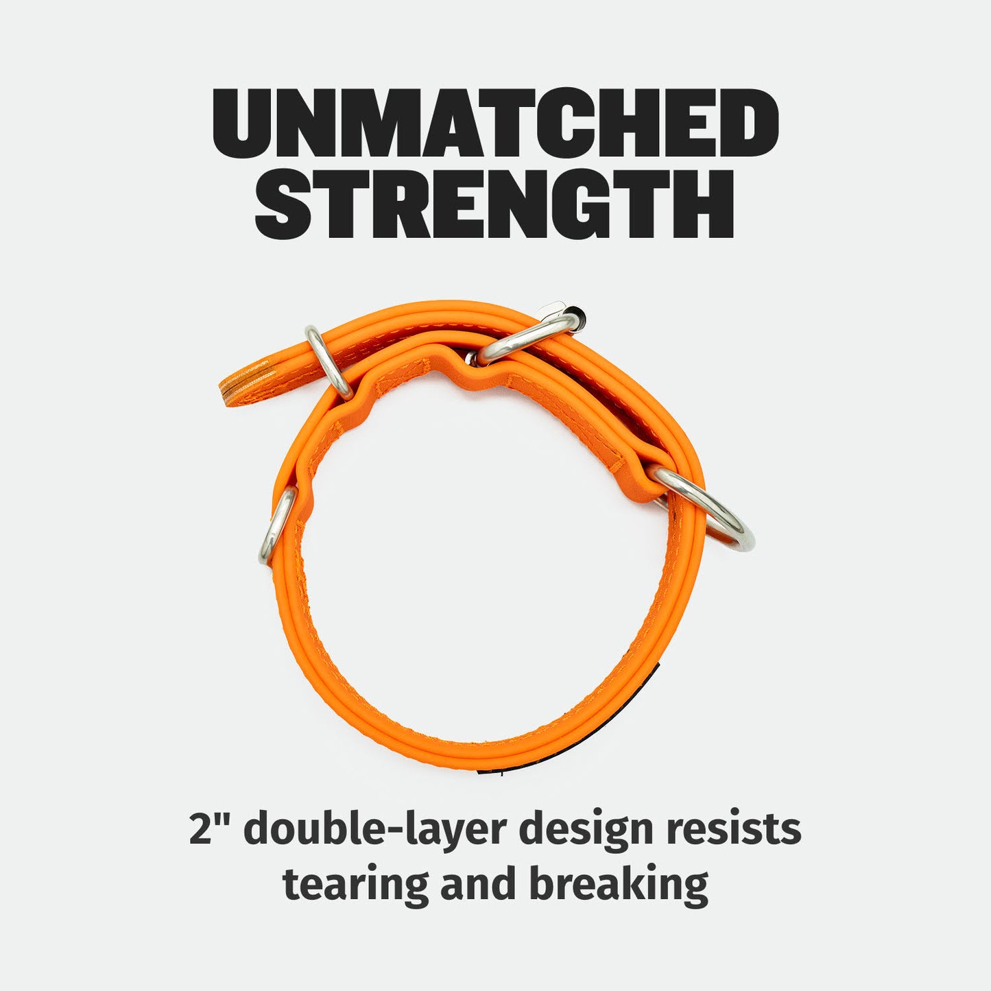 Extra Heavy Duty Dog Collar (Orange)