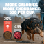 Bully Max 30/20 High Protein Beef Dog Food
