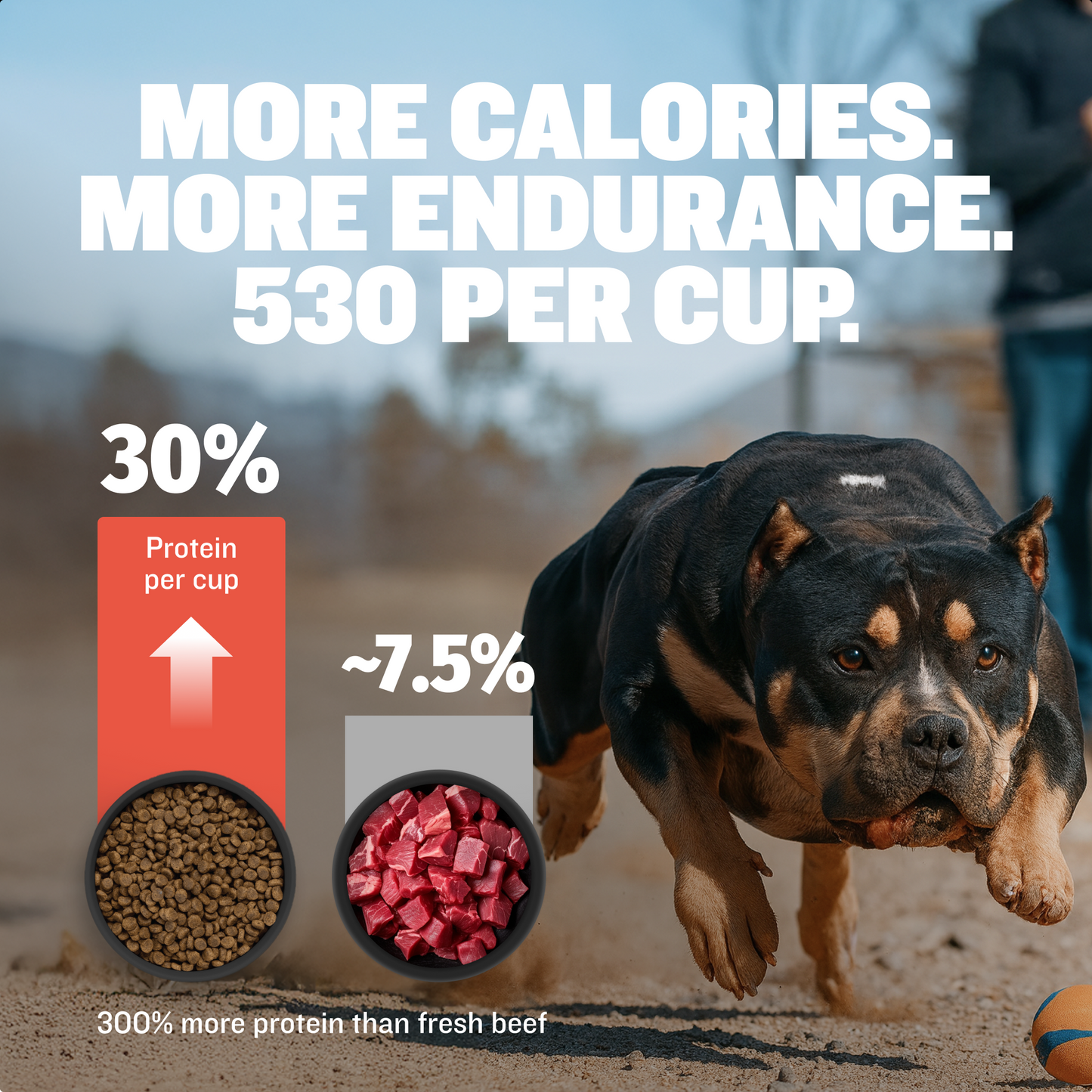Bully Max 30/20 High Protein Beef Dog Food
