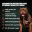 Bully Max 30/20 High Protein Beef Dog Food