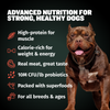 Bully Max 30/20 High Protein Beef Dog Food