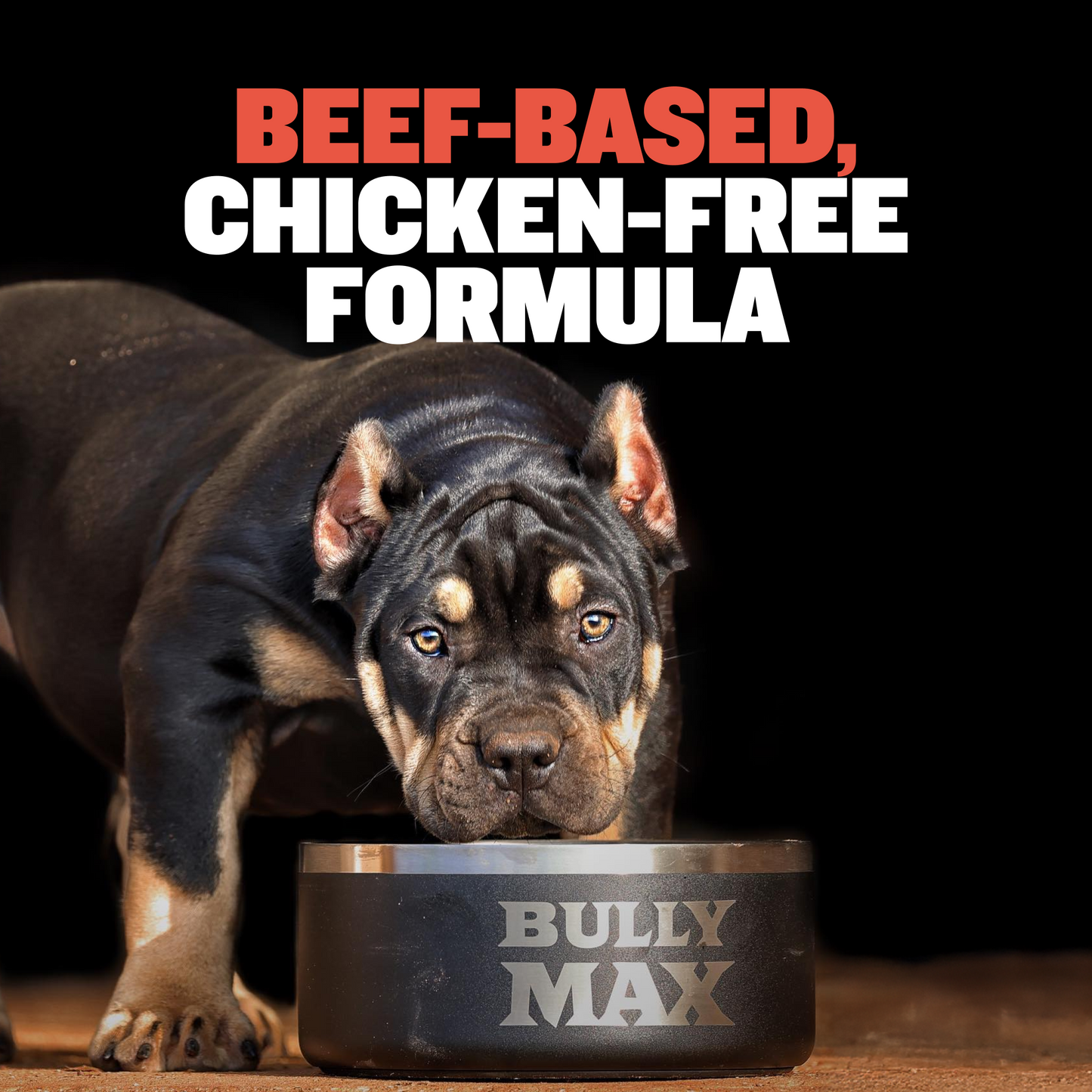 Bully Max 30/20 High Protein Beef Dog Food