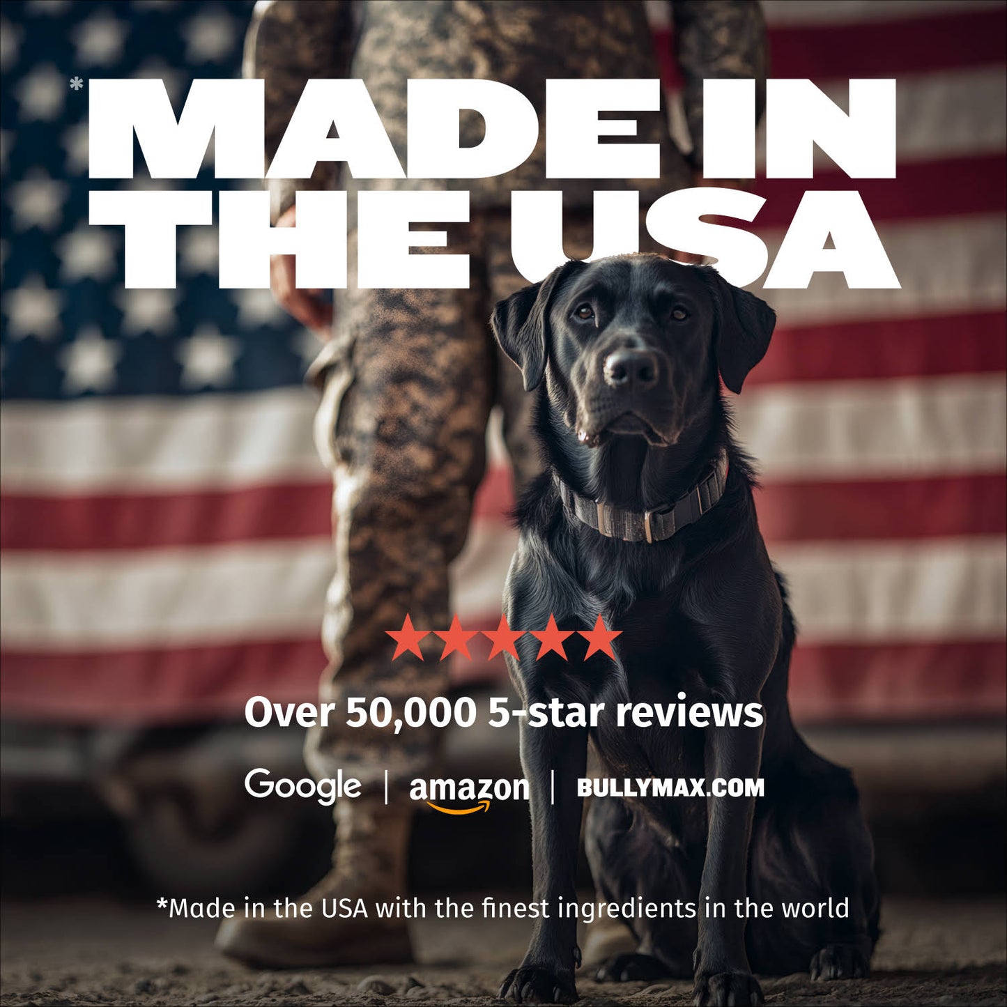 Bully Max 30/20 High Protein Beef Dog Food