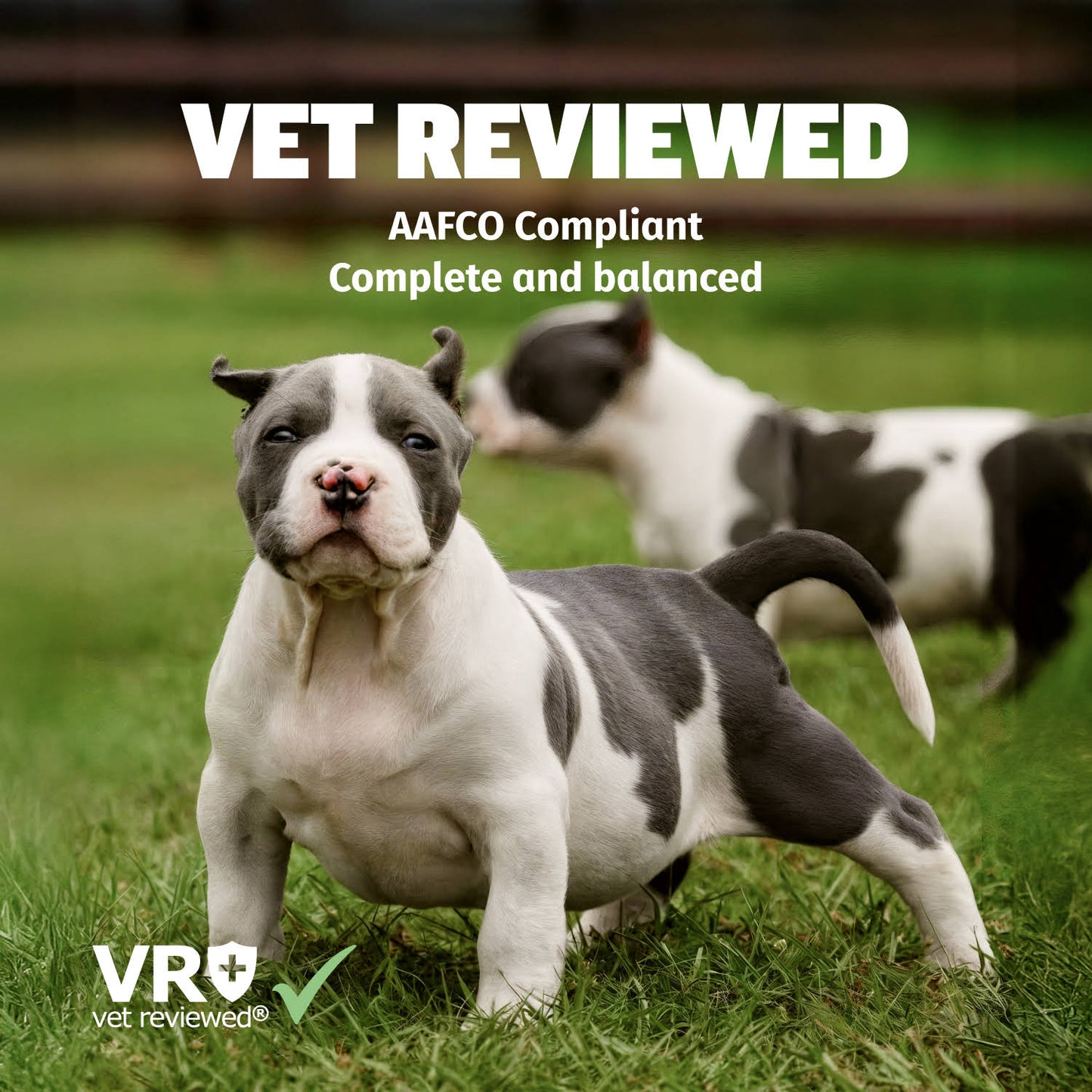 Bully Max 24/14 High Protein & Growth Puppy Food