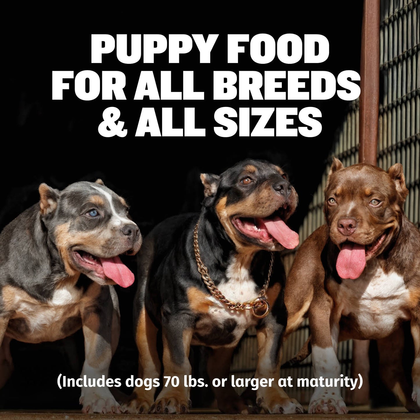 Bully Max 24/14 High Protein & Growth Puppy Food