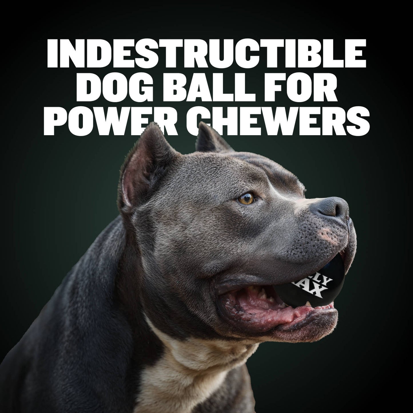 Tough & Long-Lasting Dog Balls for Power Chewers