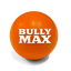 Tough & Long-Lasting Dog Balls for Power Chewers