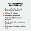 Tough & Long-Lasting Dog Balls for Power Chewers