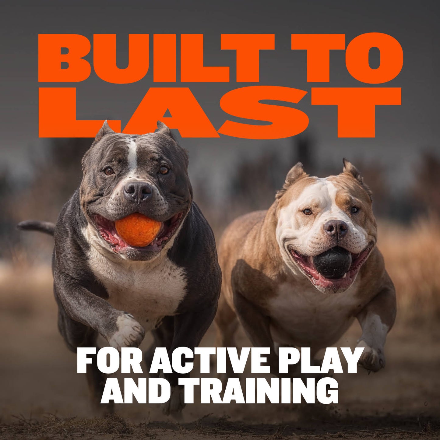 Tough & Long-Lasting Dog Balls for Power Chewers