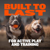 Tough & Long-Lasting Dog Balls for Power Chewers