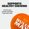 Tough & Long-Lasting Dog Balls for Power Chewers