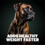 Bully Max Liquid Weight Gainer 2-in-1