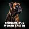 Bully Max Liquid Weight Gainer 2-in-1