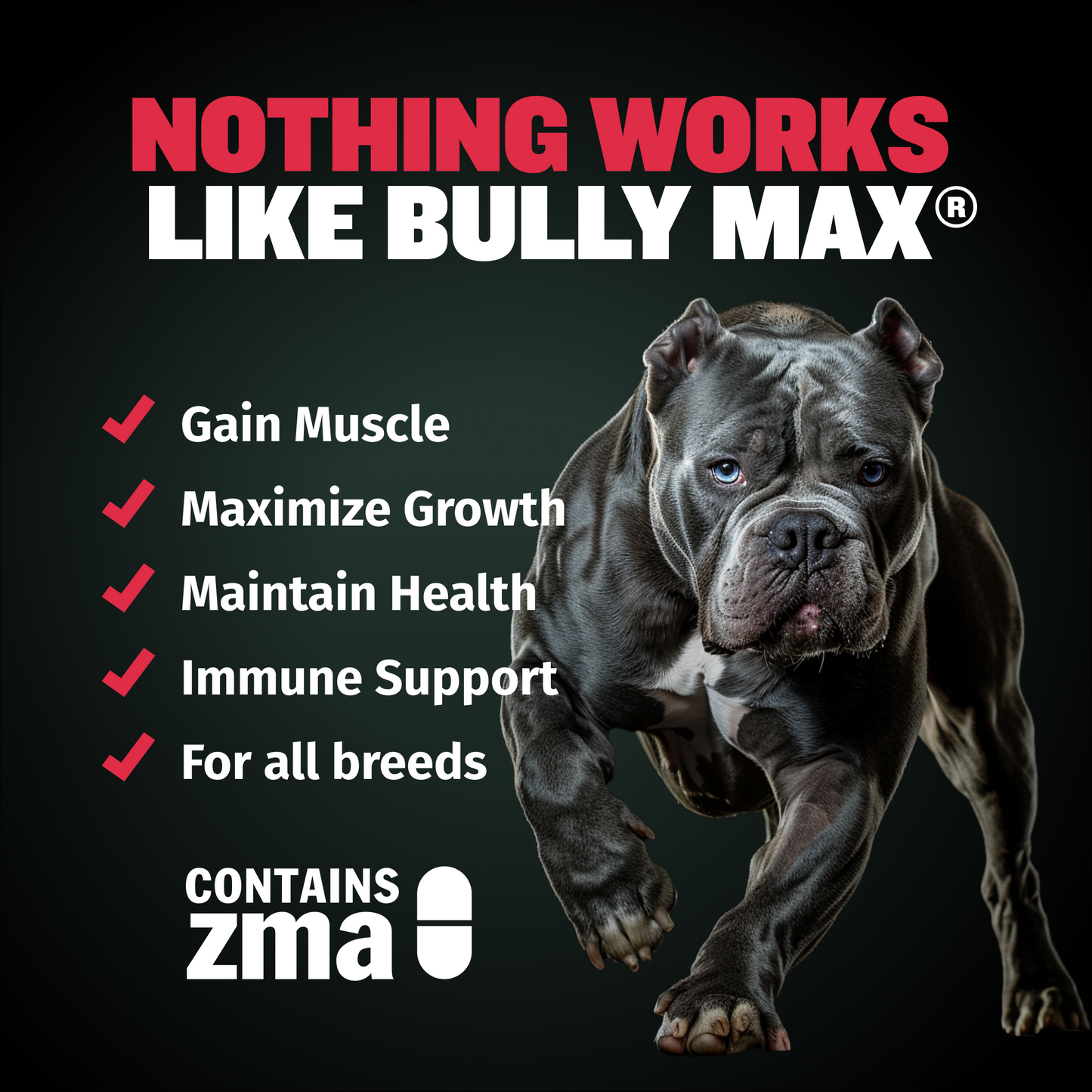 Bully Max Dog Food & Muscle Gain Tablet Bundle