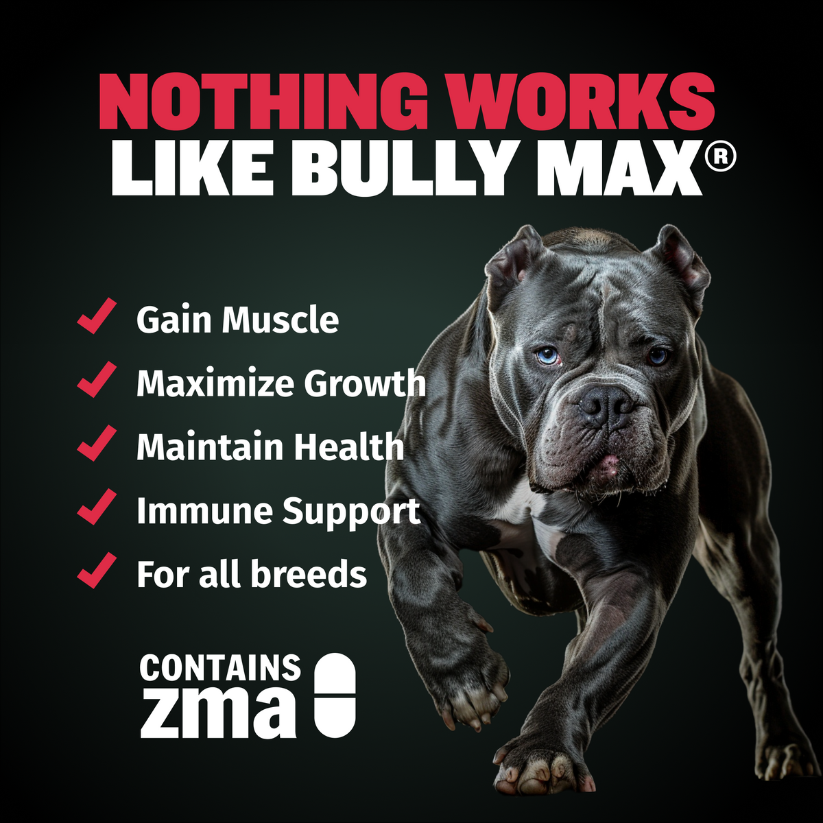 Bully Max Pit Bull Dog Food and Muscle Building Supplement Combo Pack ...