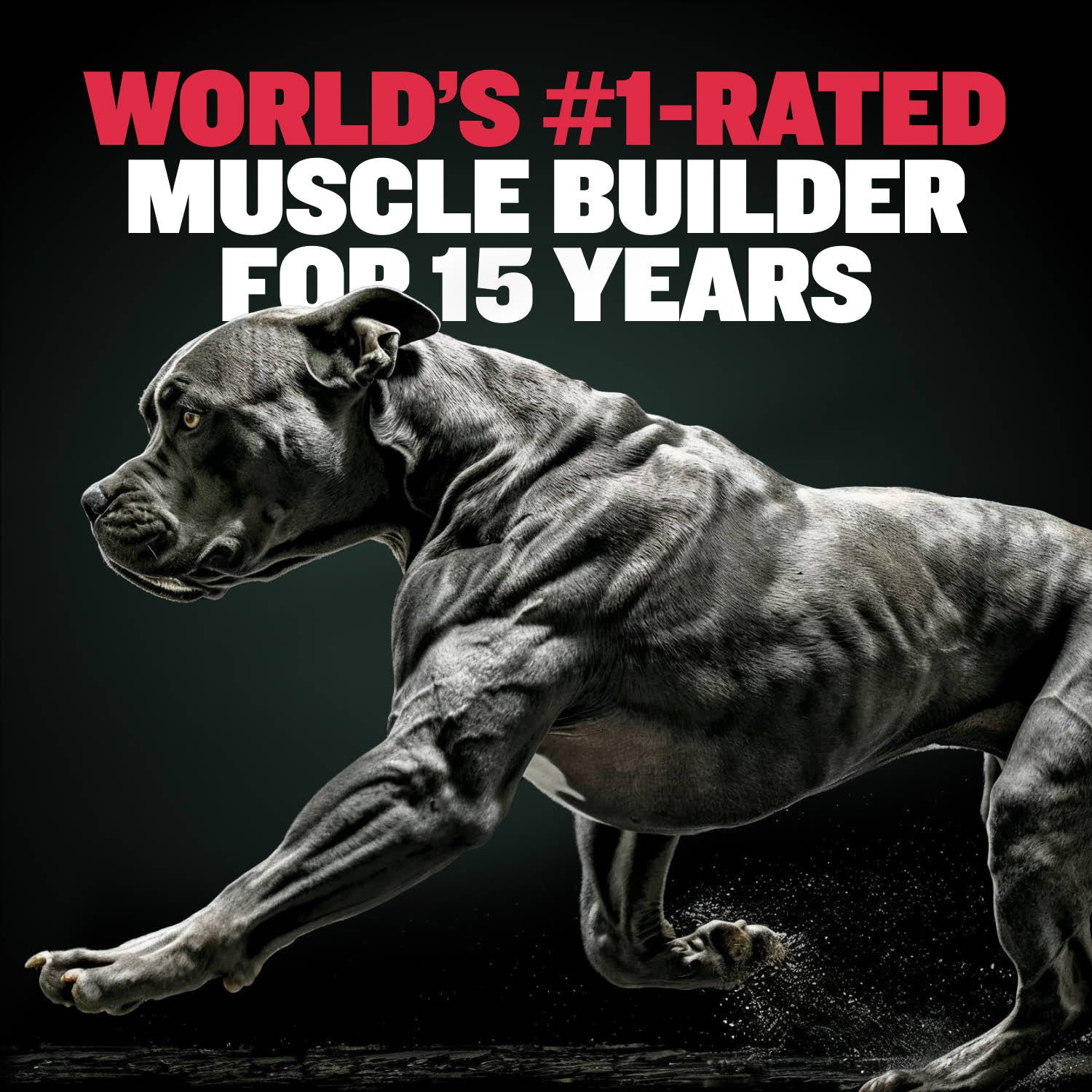 Bully Max® Muscle Builder Weight Gain Supplements for Dogs