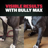 Bully Max Power Tabs for Muscle Gain