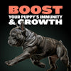 Bully Max Puppy Chews for Immunity & Growth