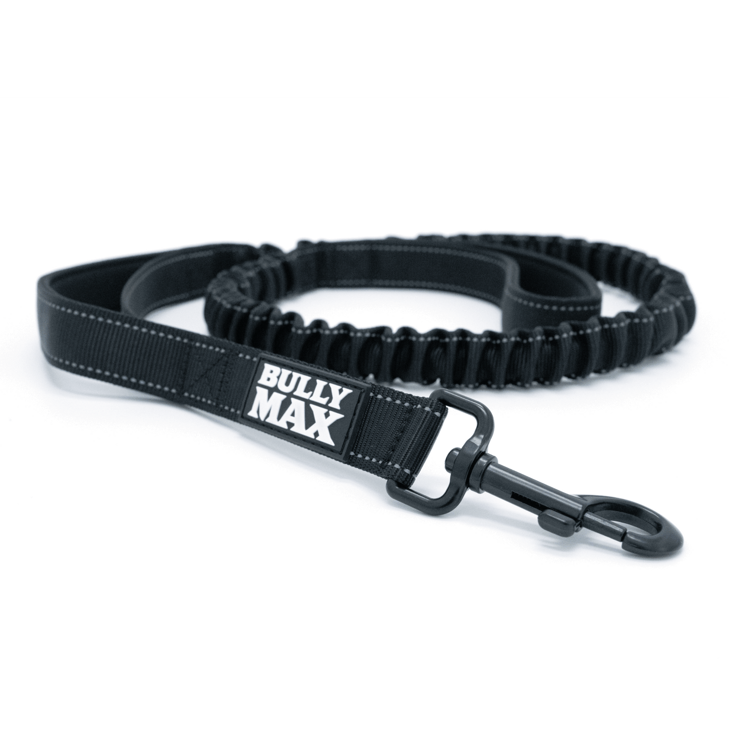 Puppy Training Leash