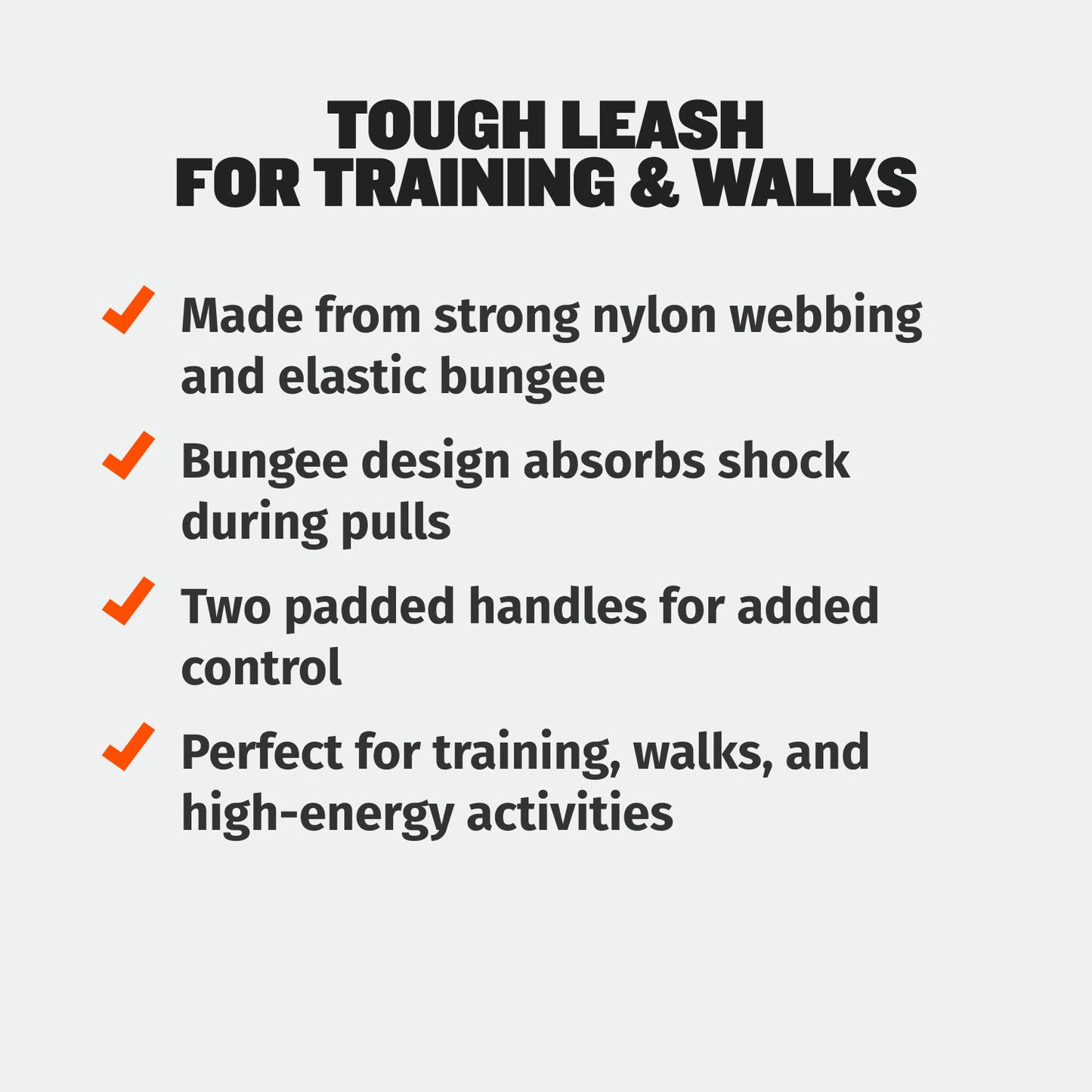 Puppy Training Leash