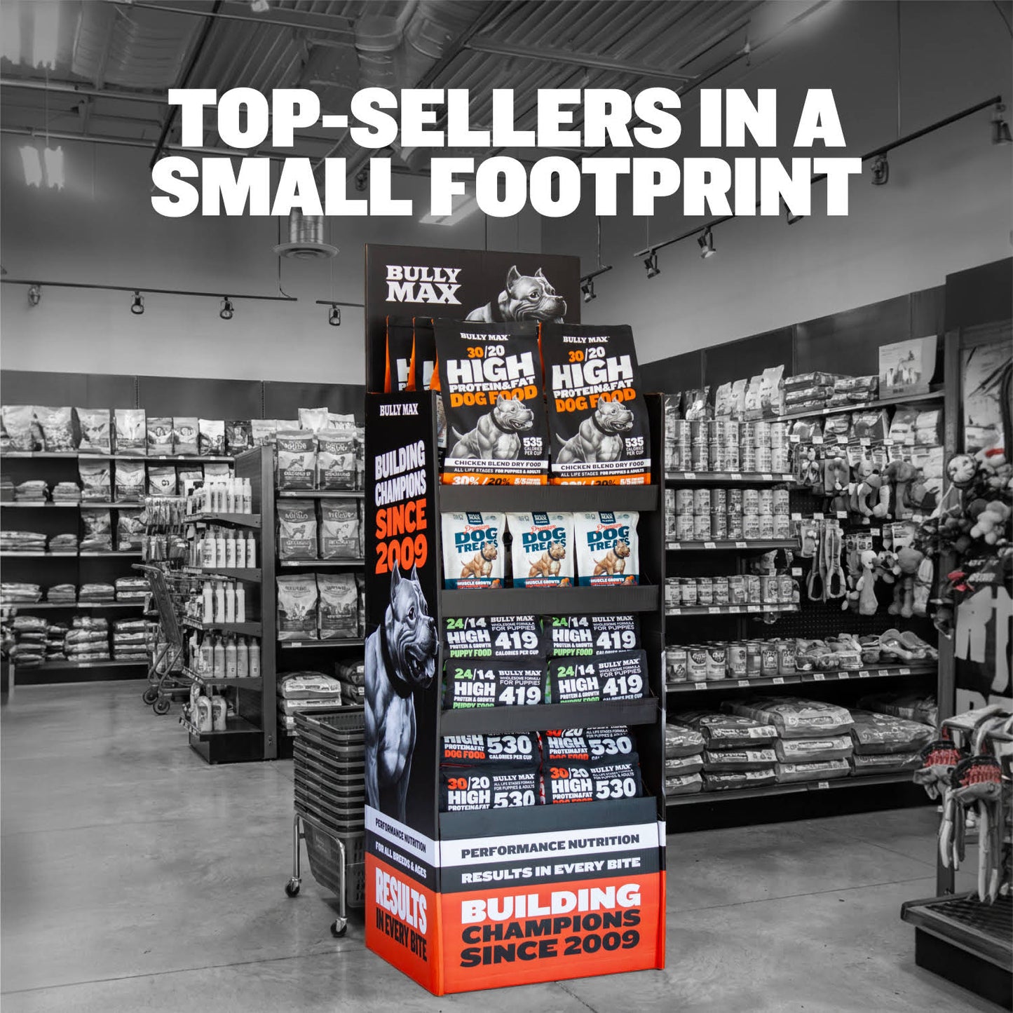 Bully Max Retail Stand-Up Display