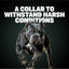 Bully Max Tactical Dog Collars